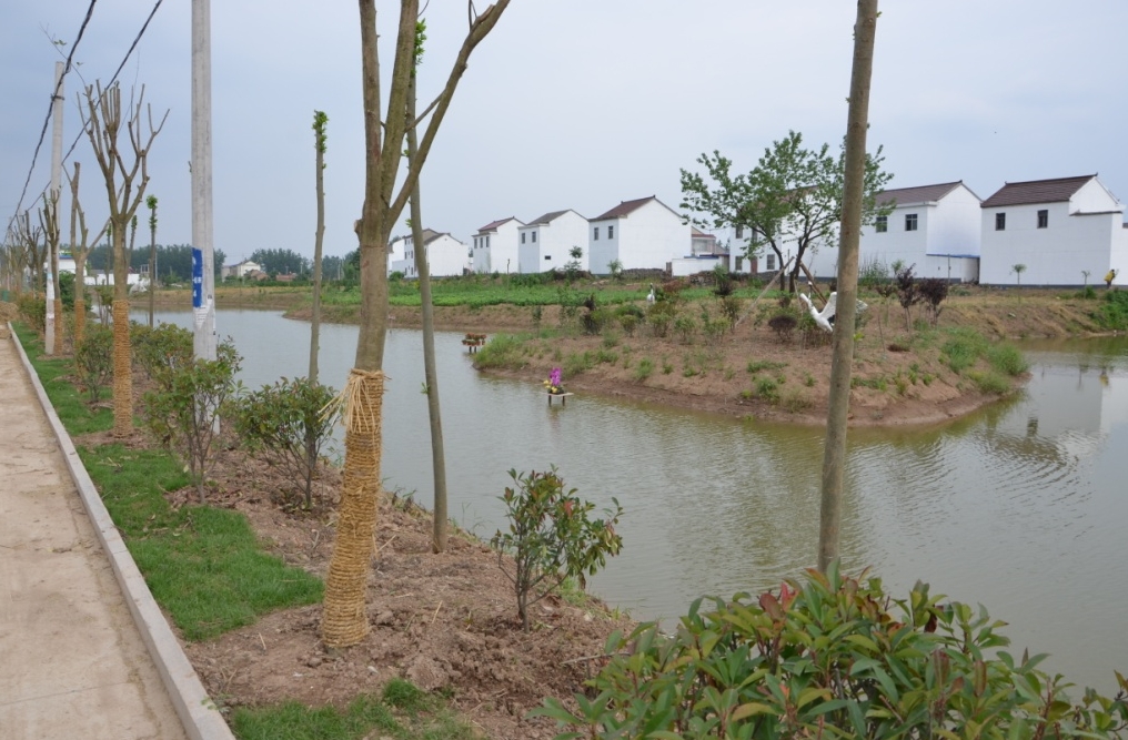 《農(nóng)村黑臭水體治理工作指南》來了！